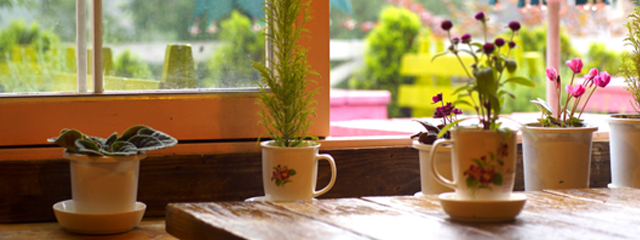 인생은 플러스생각으로 건강은 마이너스 이온으로